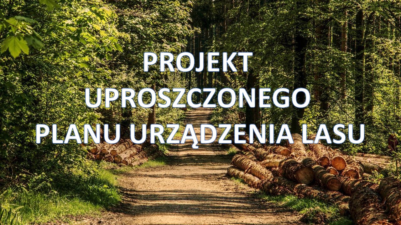 INFORMACJA O WYKONYWANIU PRZEZ STAROSTWO POWIATOWE W ZAMOŚCIU UPROSZCZONYCH PLANÓW URZĄDZENIA LASU DLA WSI GMINY MIĄCZYN