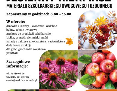 JESIENNY KIERMASZ