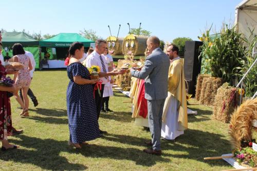 img-3723_4
