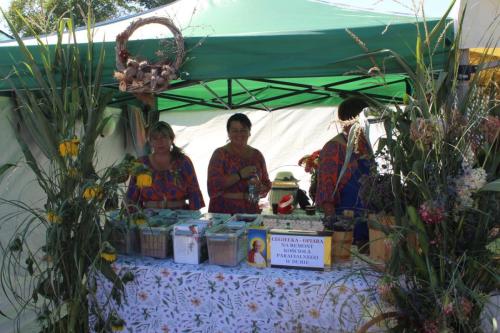 img-3763_4