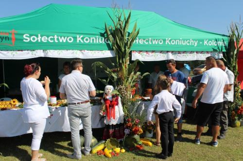 img-3775_4