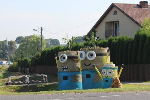 img-0551 4
