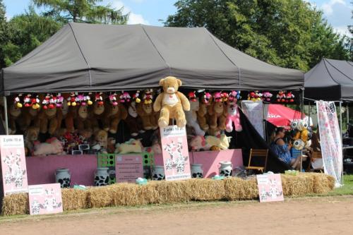 img-0823 9